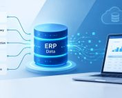 ERP Data Governance
