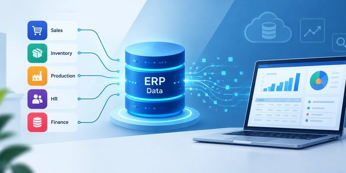 ERP Data Governance